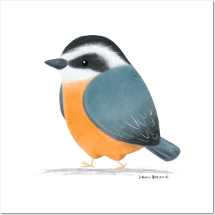 Eurasian Nuthatch Bird Posters and Art